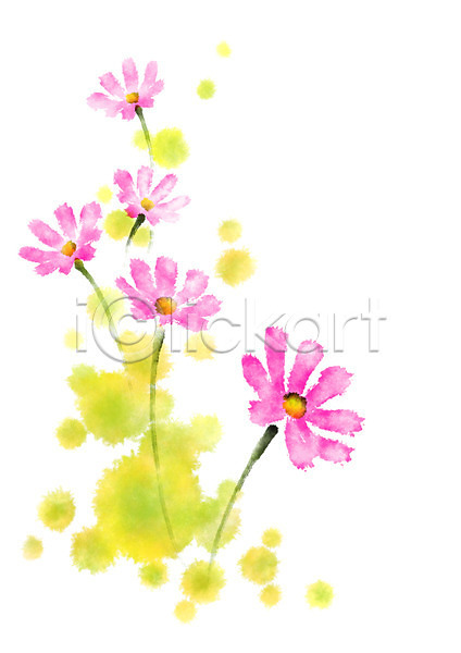 사람없음 PSD 일러스트 꽃 분홍색 여러송이 자연 캘리그라피 코스모스(꽃)