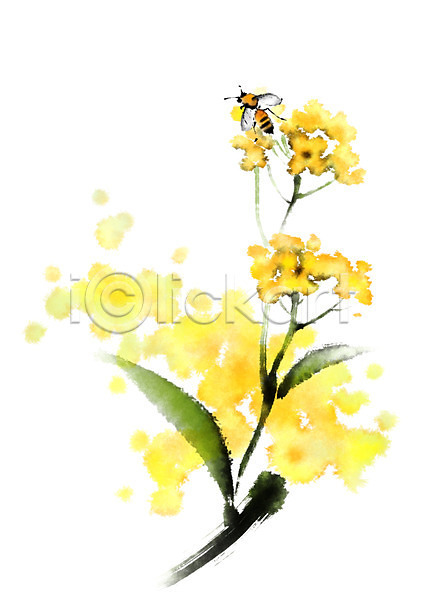 사람없음 PSD 일러스트 꽃 꿀벌 노란색 여러송이 잎 자연 캘리그라피 한마리