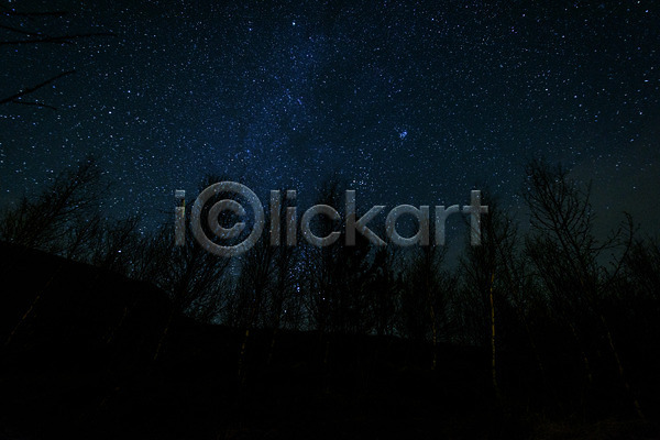 사람없음 JPG 포토 나무 밤하늘 별 아이슬란드 야간 야경 야외 유럽 유럽풍경 풍경(경치) 해외풍경