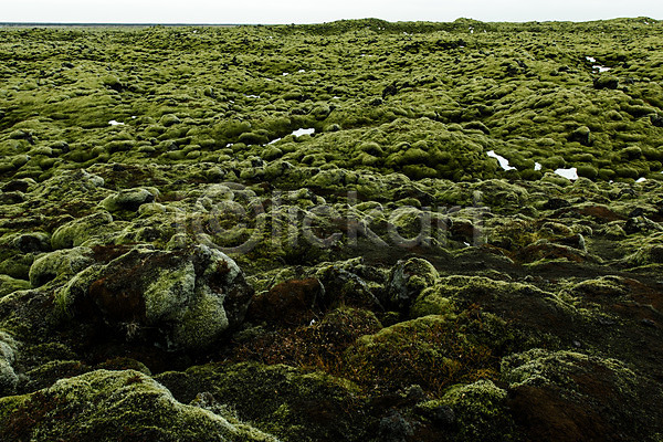 사람없음 JPG 포토 바위(돌) 아이슬란드 야외 유럽 유럽풍경 이끼 자연 주간 풍경(경치) 해외풍경