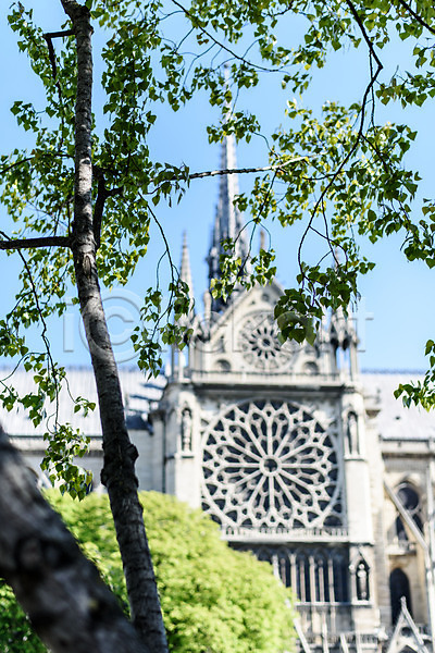 사람없음 JPG 아웃포커스 포토 건물 나무 노트르담 야외 유럽 유럽풍경 주간 파리(프랑스) 풍경(경치) 해외풍경