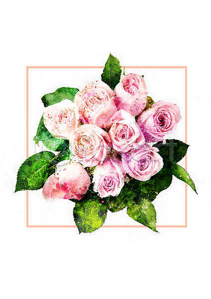 감성 사람없음 PSD 일러스트 꽃 꽃다발 보테니컬아트 분홍색 수채화(물감) 장미