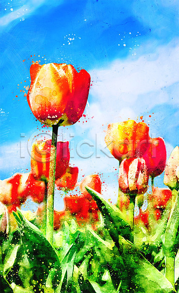 감성 사람없음 PSD 일러스트 구름(자연) 꽃 꽃밭 보테니컬아트 수채화(물감) 튤립 하늘