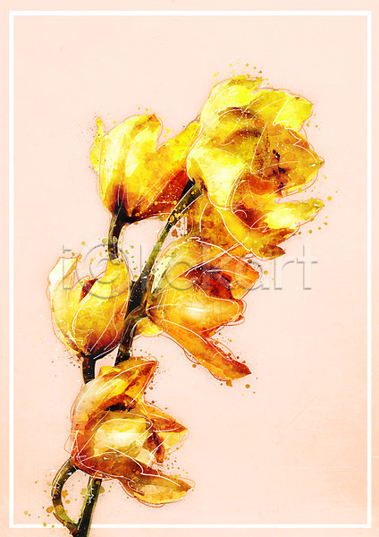 감성 사람없음 PSD 일러스트 꽃 나뭇가지 노란색 보테니컬아트 수채화(물감)
