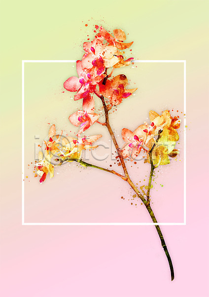 감성 사람없음 PSD 일러스트 꽃 나뭇가지 벚꽃 보테니컬아트 봄 수채화(물감) 파스텔