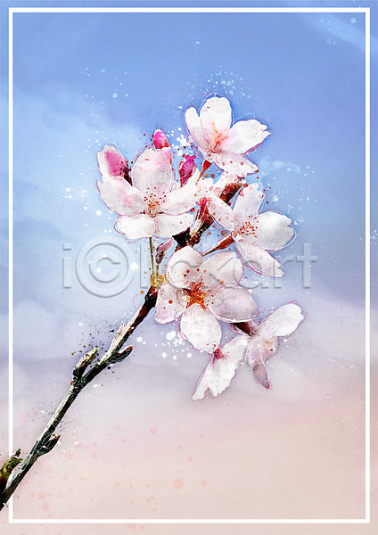 감성 사람없음 PSD 일러스트 꽃 나뭇가지 번짐 벚꽃 보테니컬아트 수채화(물감) 파스텔