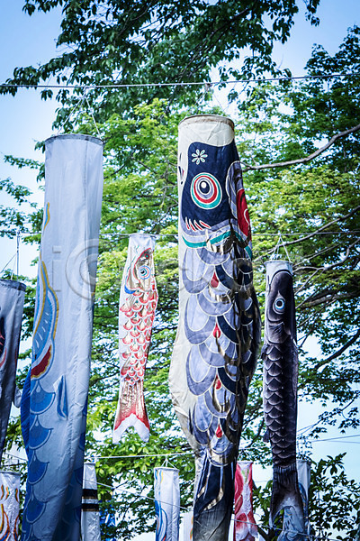 사람없음 JPG 포토 고이노보리 깃발 나무 야외 일본 일본문화 일본전통 잉어 주간 축제