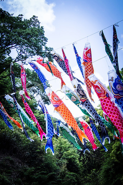 사람없음 JPG 포토 고이노보리 구름(자연) 깃발 나무 숲 야외 일본 일본문화 일본전통 잉어 주간 축제 하늘