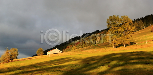 평화 군중 사람없음 JPG 포토 해외이미지 가을 갈색 계절 구름 나무 노란색 농경지 농장 밭 백그라운드 빛 빨간색 숲 시골 오렌지 일몰 자연 전나무 주택 초록색 컬러풀 파노라마 폭풍 풍경 하늘 해외202004 해외포토 황금 회색