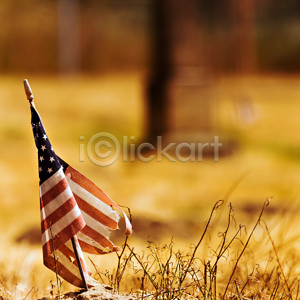 애국심 사람없음 JPG 포토 해외이미지 골동품 깃발 물결 미국 수확 심볼 옛날 전국 줄무늬 찢어짐 해외202004