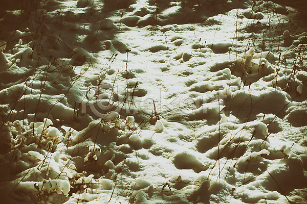 즐거움 추위 사람없음 JPG 포토 해외이미지 겨울 겨울풍경 계절 나뭇가지 동화 미술 백그라운드 백발 새해 서리 얼음 질감 추상 크리스마스 크리스마스카드 풍경(경치) 해외202004 해피뉴이어 휴가 흰배경 흰색