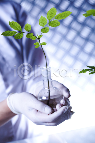 성인 성인여자한명만 여자 한명 JPG 포토 해외이미지 둥근플라스크 들기 비커 상반신 식물 실내 실험 실험실 액체 잎 해외202004 화학 화학실험