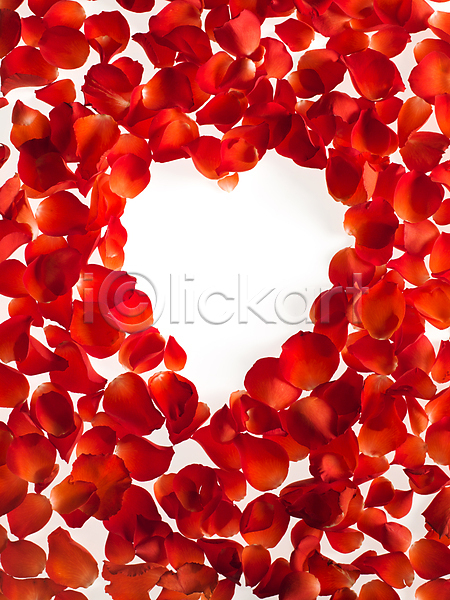 사람없음 JPG 포토 하이앵글 해외이미지 꽃잎 발렌타인데이 빨간색 오브젝트 장미 카피스페이스 프레임 하트 흰배경
