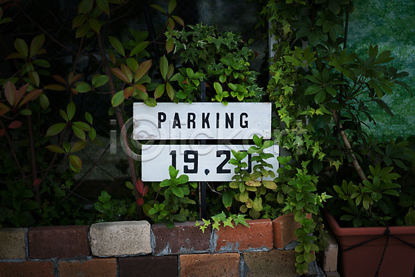 사람없음 JPG 포토 나뭇잎 벽돌 야외 주간 주차 주차장 주차장표시 표지판 화단