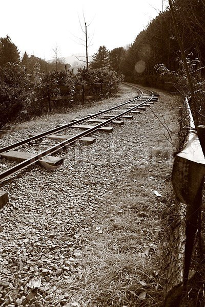 사람없음 JPG 포토 흑백 기찻길 나무 백그라운드 야외 주간 철도의날 풍경(경치)