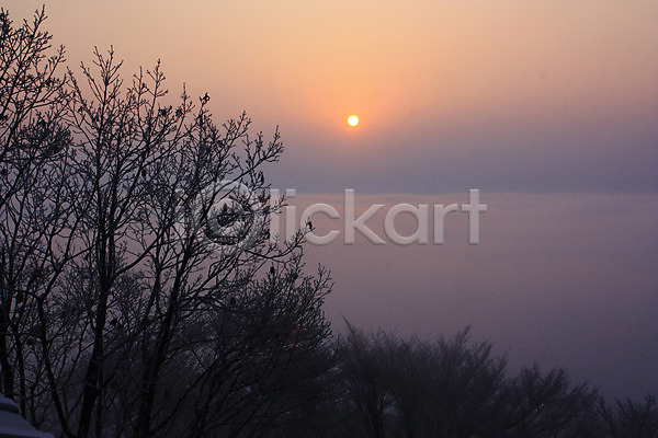 사람없음 JPG 포토 광주 나무 남한산성 야외 일몰 자연현상 태양 풍경(경치) 하늘