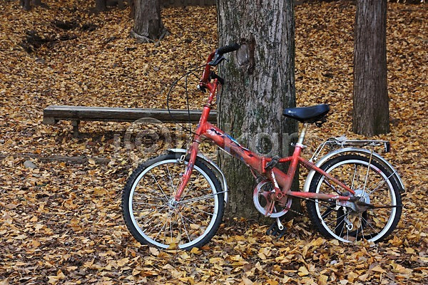 사람없음 JPG 포토 가을(계절) 공원 나무 낙엽 벤치 야외 자전거 주간 풍경(경치)