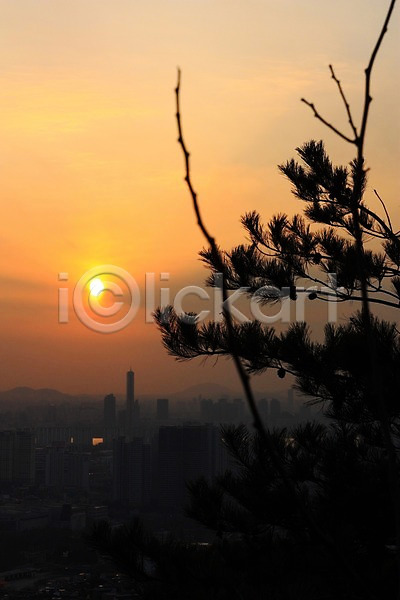 사람없음 JPG 포토 나무 도시 빌딩 서울 야외 일몰 자연현상 태양 풍경(경치) 하늘