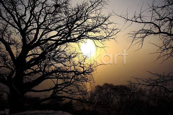 사람없음 JPG 실루엣 포토 광주(경기도) 나무 남한산성 야외 일몰 자연 주간 태양 풍경(경치) 하늘