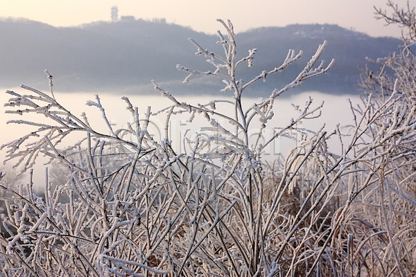 사람없음 JPG 아웃포커스 포토 겨울풍경 광주(경기도) 나뭇가지 남한산성 눈(날씨) 산 설경 야외 자연 주간 풍경(경치)
