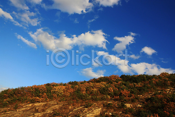 사람없음 JPG 포토 가을(계절) 구름(자연) 단풍 산 야외 자연 주간 풍경(경치) 하늘