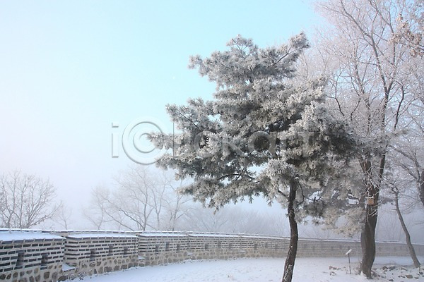 사람없음 JPG 포토 겨울풍경 광주(경기도) 나무 남한산성 눈(날씨) 설경 성 성곽길 야외 자연 주간 풍경(경치) 하늘