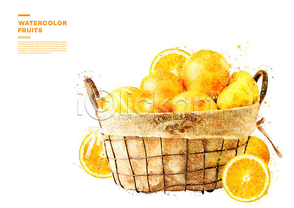 사람없음 PSD 일러스트 과일 단면 바구니 번짐 수채화(물감) 오렌지
