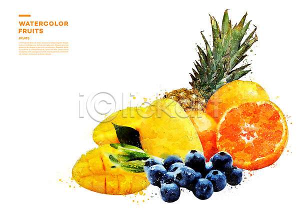 사람없음 PSD 일러스트 과일 귤 단면 망고 번짐 블루베리 수채화(물감) 오렌지 파인애플