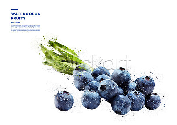 사람없음 PSD 일러스트 과일 나뭇잎 번짐 블루베리 수채화(물감)