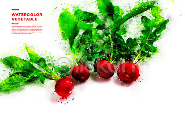 신선 사람없음 PSD 일러스트 번짐 빨간색 수채화(물감) 적환무 채소 초록색