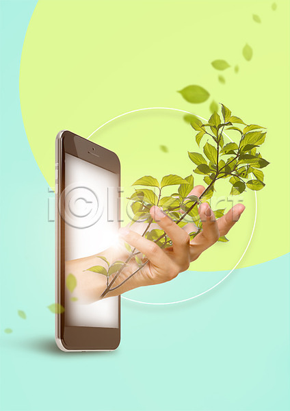 신체부위 한명 PSD 편집이미지 나뭇가지 나뭇잎 손 스마트폰 자연 편집 한손