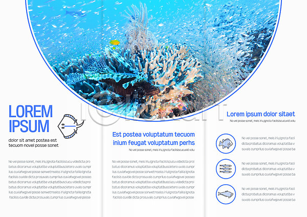 사람없음 AI(파일형식) 템플릿 3단접지 가오리 내지 리플렛 바다 바닷속 북디자인 북커버 산호 수중동물 어류 자연 출판디자인 팜플렛 편집 표지디자인