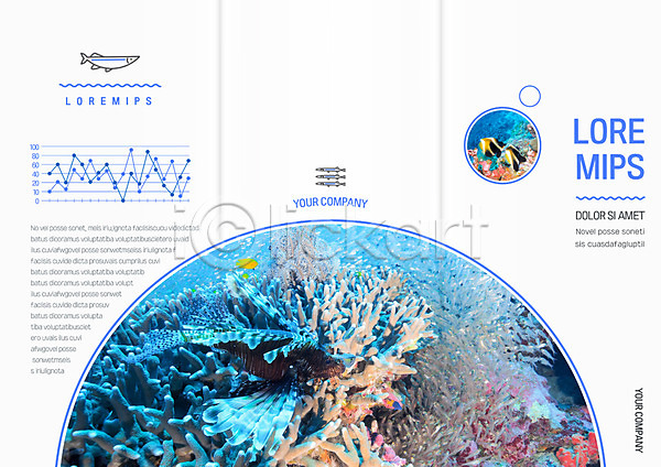 사람없음 AI(파일형식) 템플릿 3단접지 그래프 리플렛 바다 바닷속 북디자인 북커버 산호 수중동물 열대어 자연 출판디자인 팜플렛 편집 표지 표지디자인