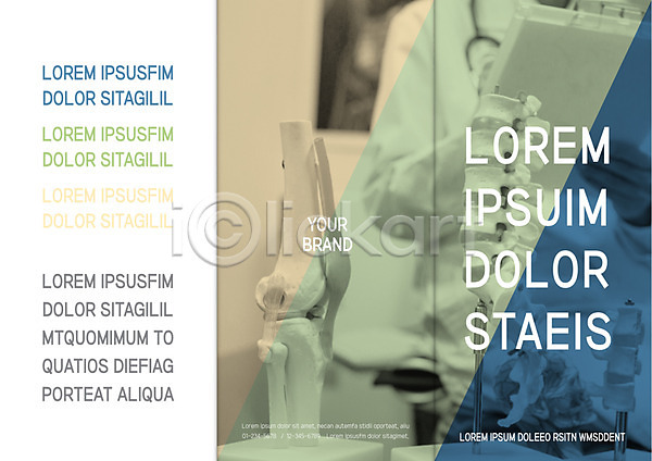 AI(파일형식) 템플릿 3단접지 디스크(질병) 리플렛 북디자인 북커버 서류판 의사 의학 정형외과 진료실 척추 출판디자인 팜플렛 편집 표지 표지디자인