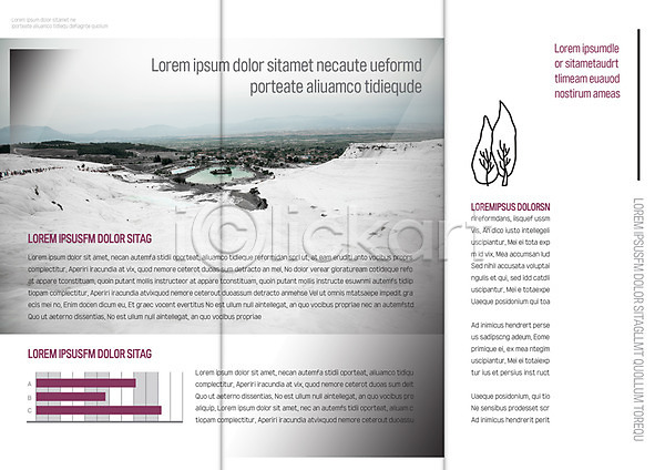 사람없음 AI(파일형식) 템플릿 3단접지 겨울 나무 내지 눈(날씨) 리플렛 북디자인 북커버 자연 출판디자인 팜플렛 표지디자인