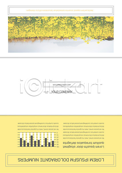 사람없음 AI(파일형식) 템플릿 3단접지 그래프 꽃밭 리플렛 봄 북디자인 북커버 유채 자연 출판디자인 팜플렛 표지 표지디자인