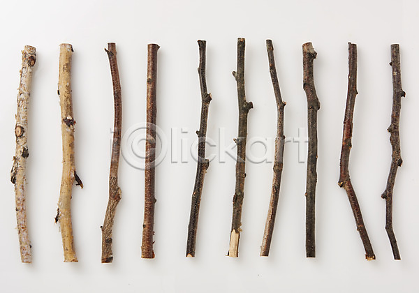 사람없음 JPG 포토 나뭇가지 내추럴 백그라운드 스튜디오촬영 식물
