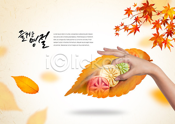 신체부위 한명 PSD 편집이미지 가을(계절) 낙엽 다식 단풍 손 추석 편집 한국전통 한손