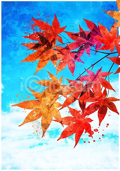 감성 사람없음 PSD 일러스트 가을(계절) 나뭇가지 단풍 수채화(물감) 풍경(경치) 하늘