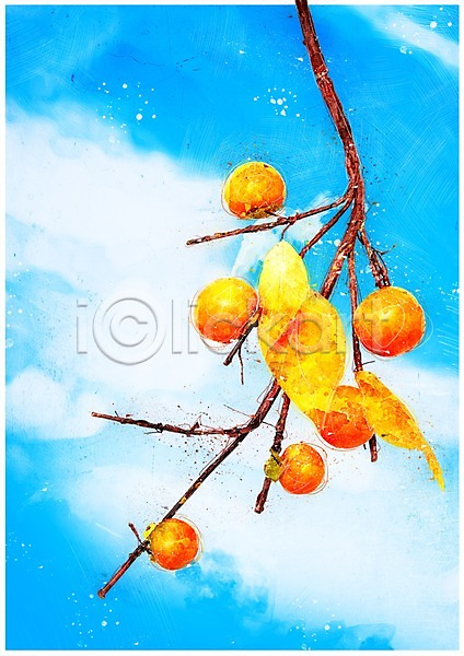 감성 사람없음 PSD 일러스트 가을(계절) 감 감나무 나뭇가지 수채화(물감) 열매 추석 풍경(경치) 하늘
