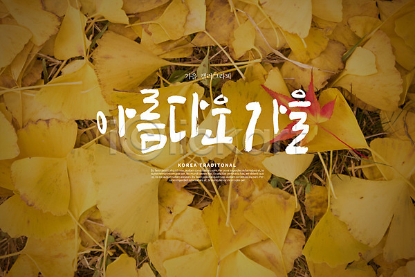 사람없음 PSD 편집이미지 가을(계절) 갈색 낙엽 단풍 손글씨 은행잎 캘리그라피 한글