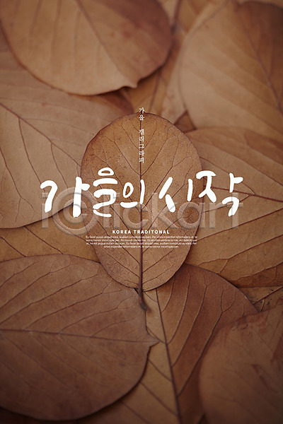 사람없음 PSD 편집이미지 가을(계절) 갈색 낙엽 손글씨 잎맥 캘리그라피 한글