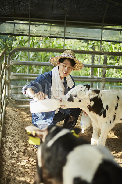 20대 남자 남자한명만 성인 성인남자한명만 한국인 한명 JPG 아웃포커스 앞모습 포토 귀농 농부 농촌 미소(표정) 상반신 송아지 시골 앉기 야외 양주(한국) 외양간 우유 젖 종아리 주간 청년농부 헛간 흰우유
