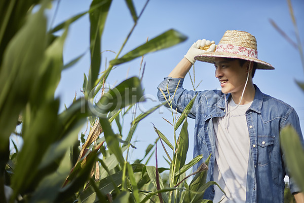20대 남자 남자한명만 성인 성인남자한명만 한국인 한명 JPG 아웃포커스 앞모습 포토 귀농 농부 농사 농업 농촌 미소(표정) 상반신 서기 시골 야외 양주(한국) 옥수수 옥수수밭 주간 청년농부