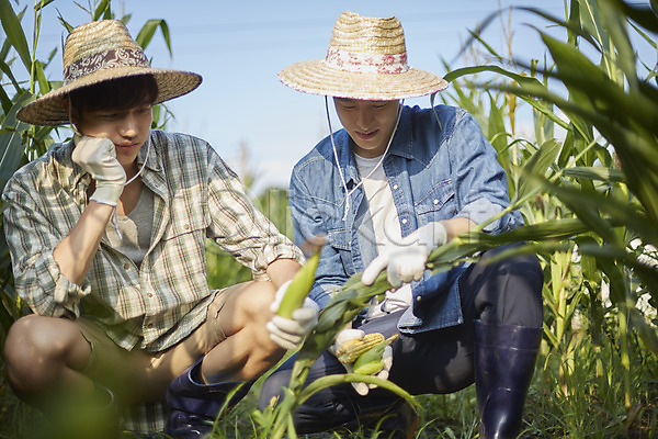 고민 20대 남자 두명 성인 성인남자만 한국인 JPG 아웃포커스 앞모습 포토 귀농 농부 농사 농업 농촌 들기 상반신 시골 앉기 야외 양주(한국) 옥수수 옥수수밭 주간 청년농부 친구