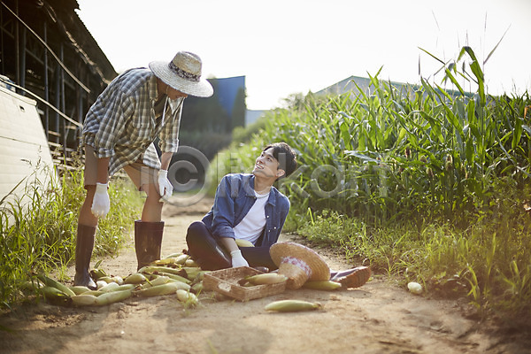 떨어짐 실수 20대 남자 두명 성인 성인남자만 한국인 JPG 아웃포커스 앞모습 포토 귀농 넘어짐 농부 농사 농업 농촌 미소(표정) 서기 시골 앉기 야외 양주(한국) 옥수수 옥수수밭 전신 주간 청년농부 친구