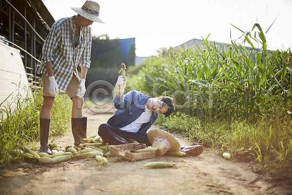 떨어짐 실수 20대 남자 두명 성인 성인남자만 한국인 JPG 아웃포커스 앞모습 포토 귀농 넘어짐 농부 농사 농업 농촌 미소(표정) 서기 시골 앉기 야외 양주(한국) 옥수수 옥수수밭 전신 주간 청년농부 친구