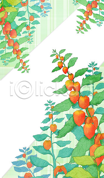 사람없음 PSD 일러스트 프레임일러스트 꽈리 나뭇잎 식물 열매 체크무늬 프레임