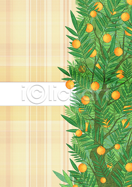 사람없음 PSD 일러스트 프레임일러스트 과일 금귤 나무 나뭇잎 체크무늬 프레임