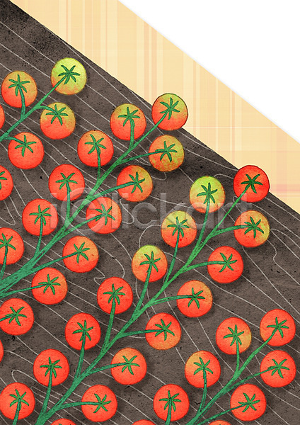 사람없음 PSD 일러스트 프레임일러스트 과채 방울토마토 여러송이 열매 채소 체크무늬 토마토 프레임